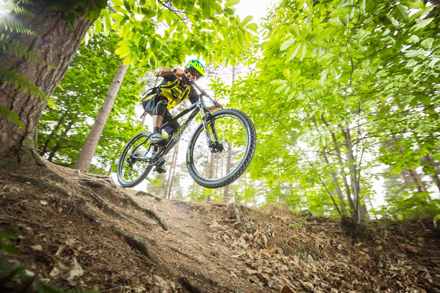Best hardtails for under a grand: Whyte 800-series 2019 mountain bikes